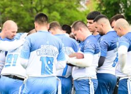 druga fleg fudbal liga srbije
